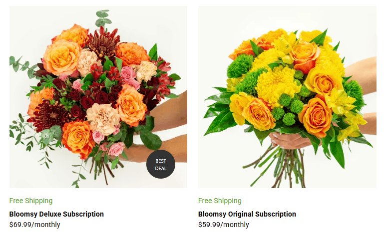 BloomsyBox pricing