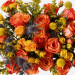 UrbanStems vs BloomsyBox