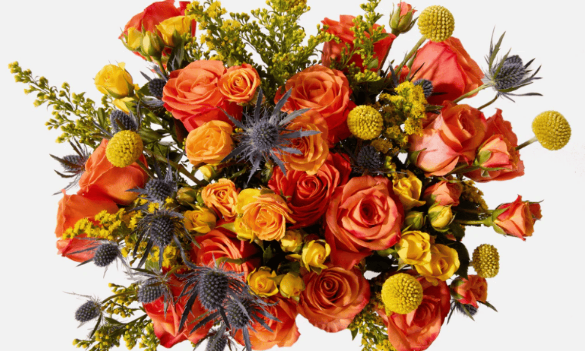 UrbanStems vs BloomsyBox