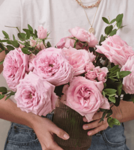 Freshness and Vase Life