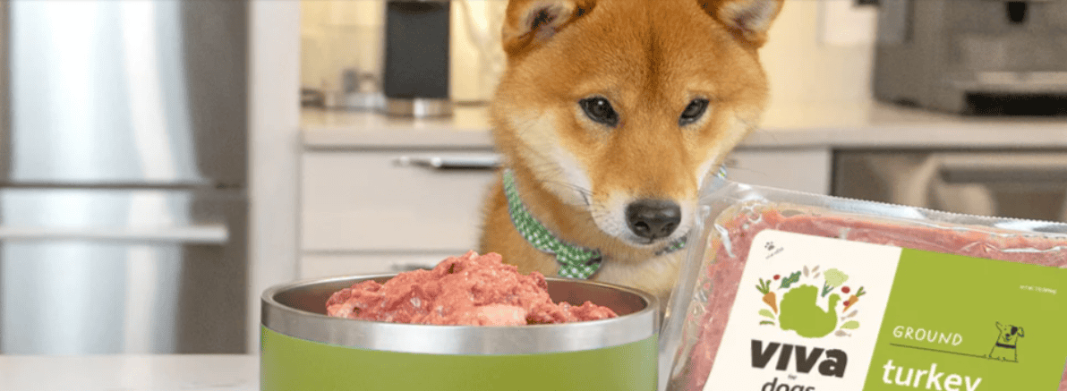 we feed raw