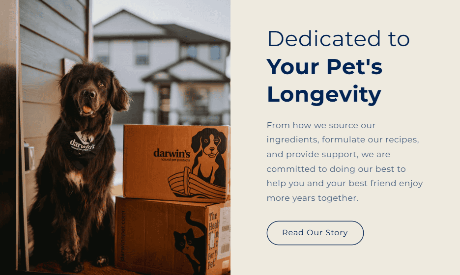 Raw Dog Food Subscription Services