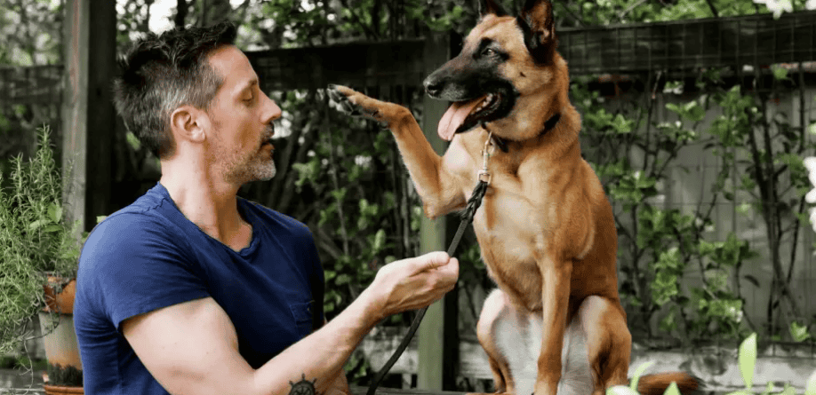 man and dog