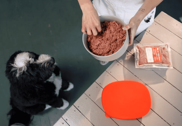 We Feed Raw vs Viva Raw