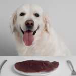 HPP vs Non HPP Raw Dog Food