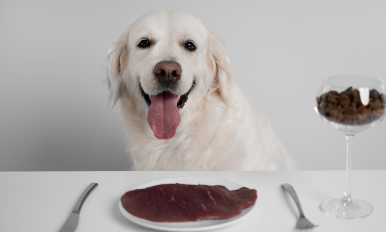 HPP vs Non HPP Raw Dog Food