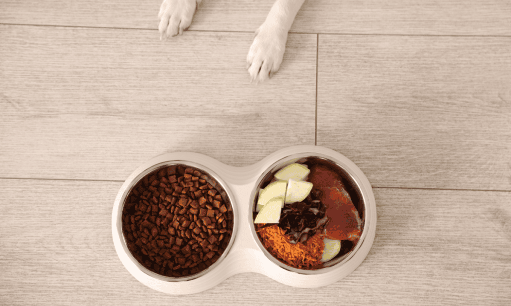 Raw dog food vs pellets
