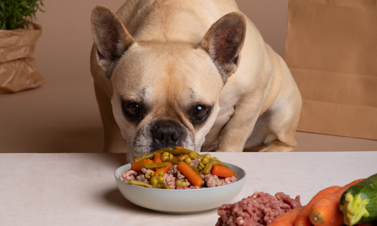 Best Fresh Dog Food Subscription