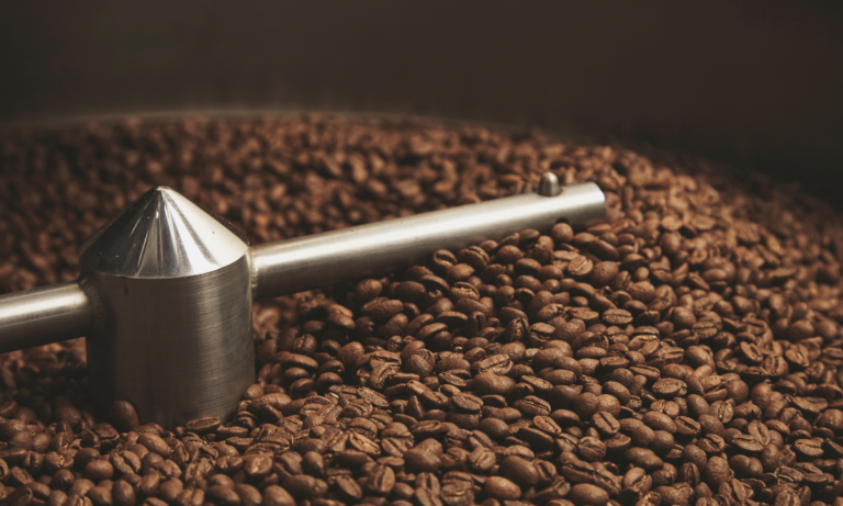 Best Specialty Coffee Roasters