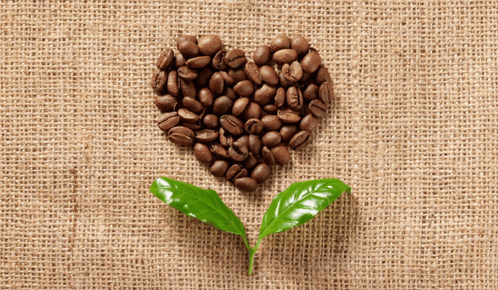 best espresso beans subscription