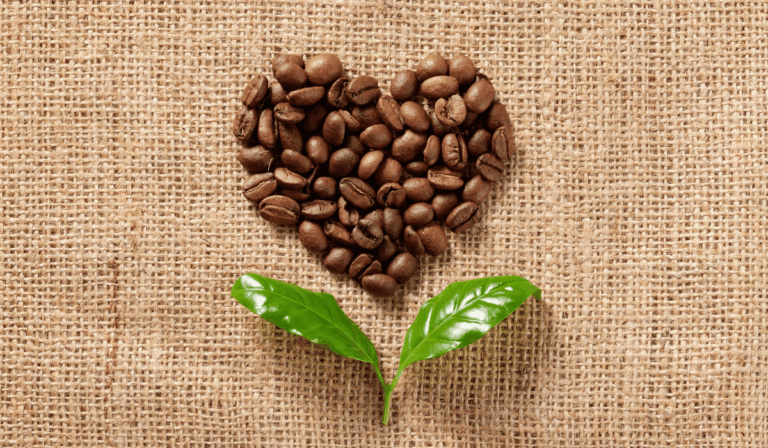 best espresso beans subscription
